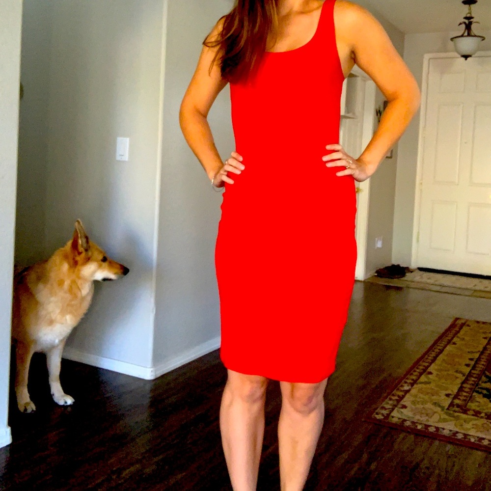 Dress!